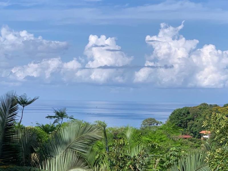 0 bed Land For Sale in Uvita, Puntarenas - 1